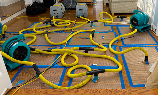 Professional Structural Drying And Dehumidification technician working in Addison, MI